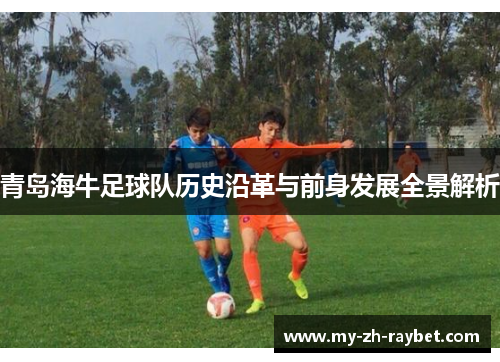 青岛海牛足球队历史沿革与前身发展全景解析