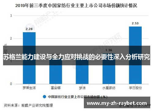苏格兰能力建设与全力应对挑战的必要性深入分析研究