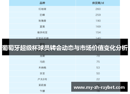 葡萄牙超级杯球员转会动态与市场价值变化分析