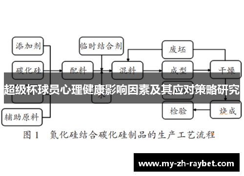 超级杯球员心理健康影响因素及其应对策略研究 超级杯球员心理健康影响因素及其应对策略研究