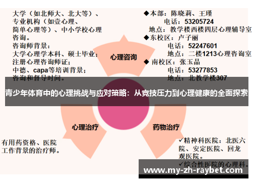 青少年体育中的心理挑战与应对策略：从竞技压力到心理健康的全面探索